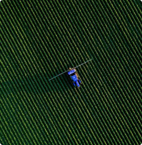 Campo bem verde com uma máquina agrícola passando, como se estivesse arando o pasto.
